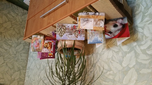 neznaju, pochemu zagruzilos verx nogami... no eto otkrytochki i pozdravlenija ot mojix podruzhok... oni radovali nas i udevliali vsex, kto prixodil k nam, chto u menia tak mnogo podrug so vsevo sveta... i kak ja byla gorda etim... SPASIBO, DEVOCHKI neznaju, pochemu zagruzilos verx nogami... no eto otkrytochki i pozdravlenija ot mojix podruzhok... oni radovali nas i udevliali vsex, kto prixodil k nam, chto u menia tak mnogo podrug so vsevo sveta... i kak ja byla gorda etim... SPASIBO, DEVOCHKI