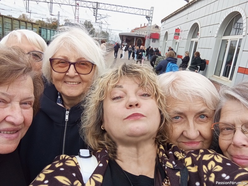 Как хомяки за три моря в Тверь ходили.