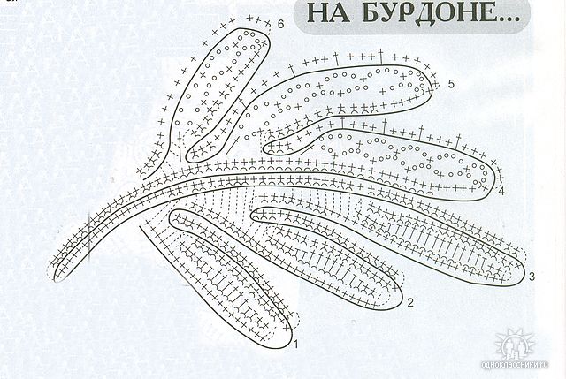 Цветочная ирландка