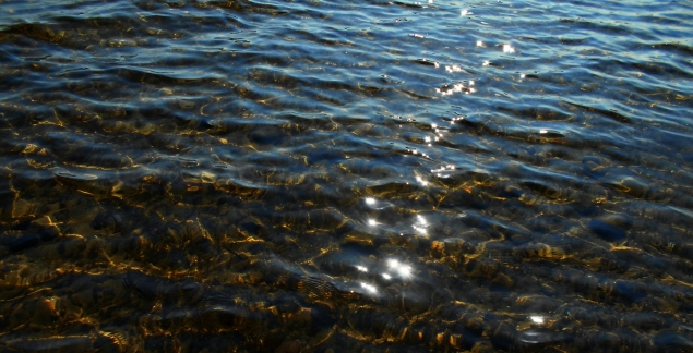 Солнечные отблески, как звёздочки на воде Солнечные отблески, как звёздочки на воде