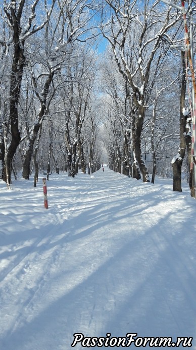 Прогулки на природе. часть 1