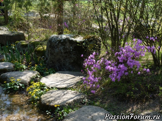 Японский сад в Литве