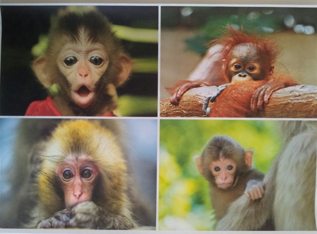 продам декупажные карты с обезьянками
