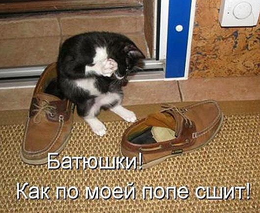 Вдогонку к котоматрице