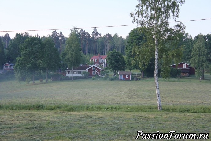 Утро в шведском лесу или край, где я живу.