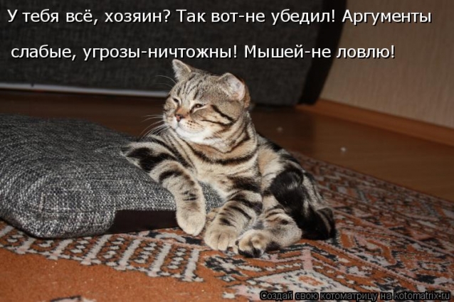 Котоматрица