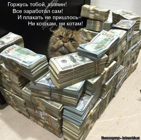 Котоматрица