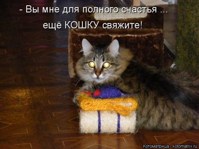 Котоматрица