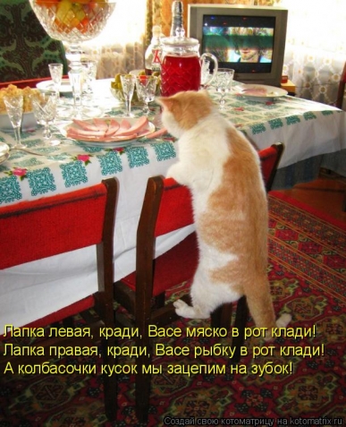 Котоматрица