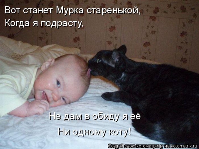 Котоматрица