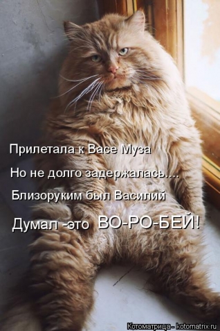 Очередная котоматрица