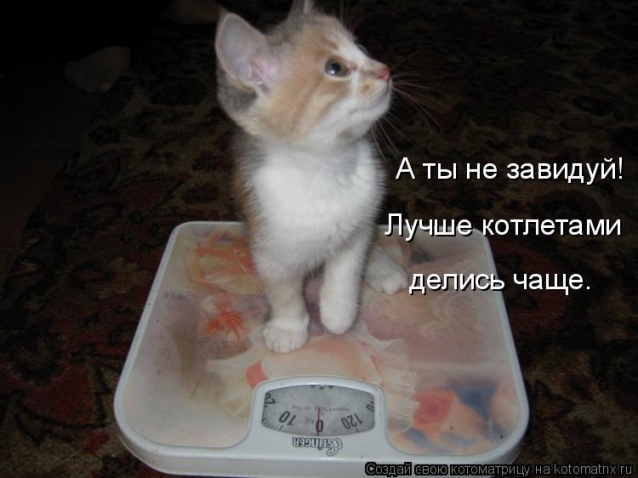 Очередная котоматрица