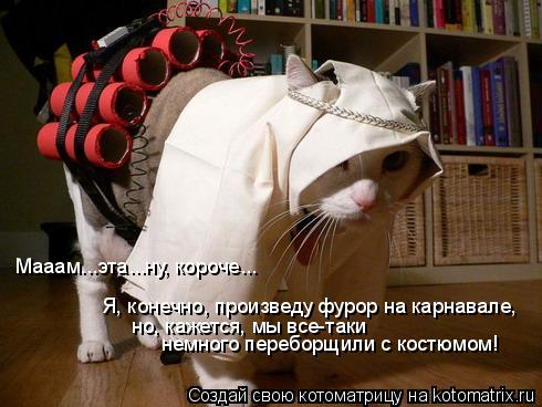 Очередная котоматрица