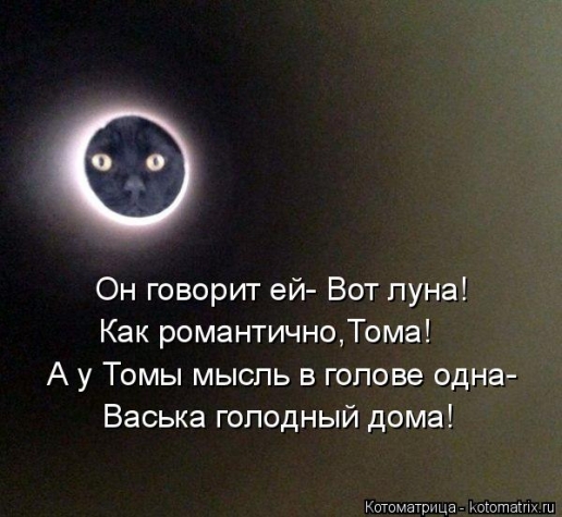 Очередная котоматрица