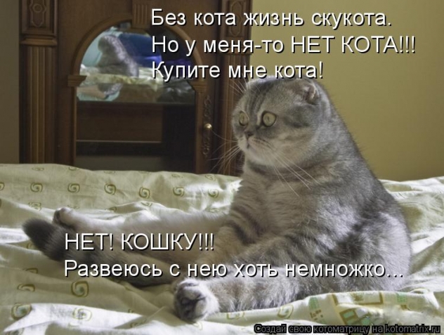 Очередная котоматрица