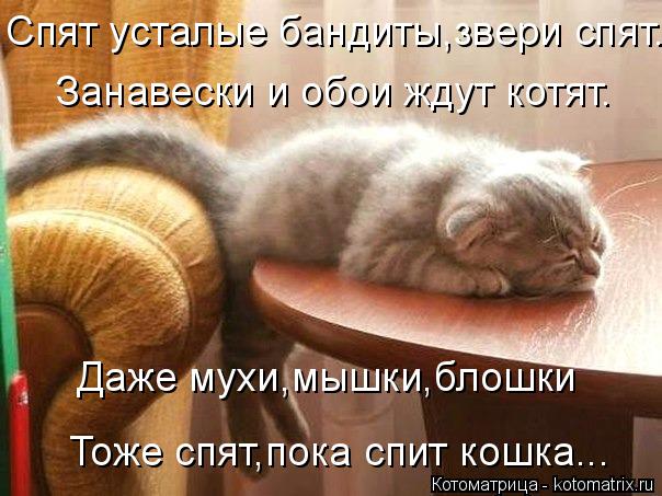 Очередная котоматрица