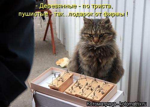 Очередная котоматрица