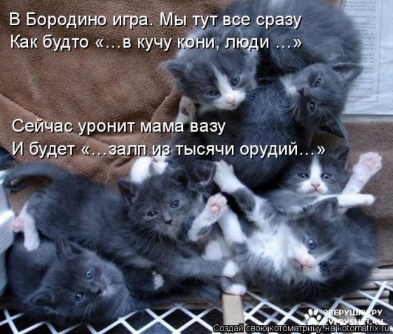 Очередная котоматрица