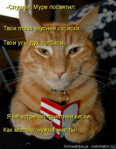 Очередная котоматрица