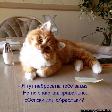 Очередная котоматрица