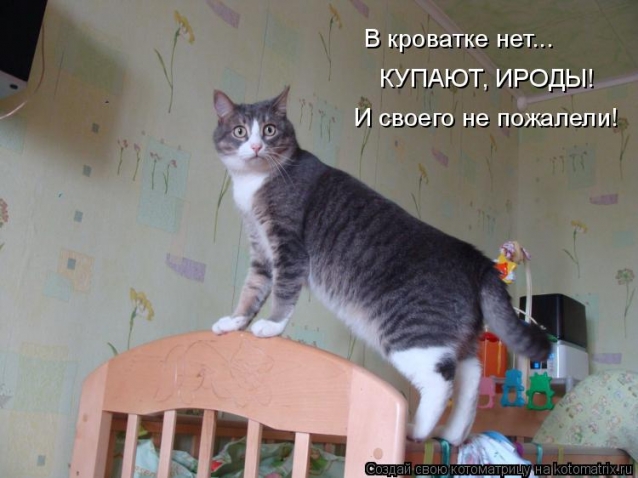 Очередная котоматрица