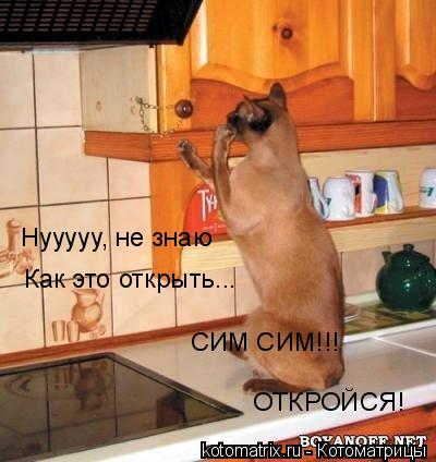 Котоматрица и не только