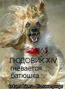 Котоматрица и не только