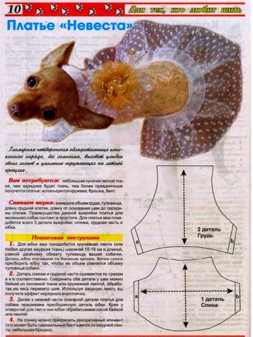 Любителям и обладателям собачек, кошечек (все из интернета)