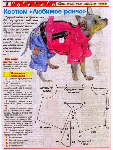 Любителям и обладателям собачек, кошечек (все из интернета)