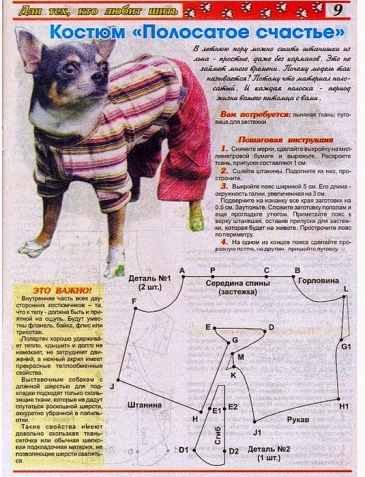 Любителям и обладателям собачек, кошечек (все из интернета)