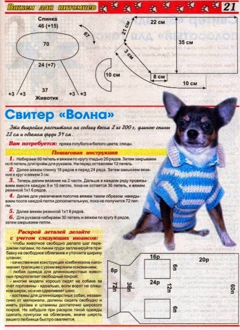 Любителям и обладателям собачек, кошечек (все из интернета)