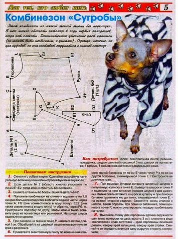 Любителям и обладателям собачек, кошечек (все из интернета)