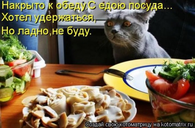 Животные и смешные моменты