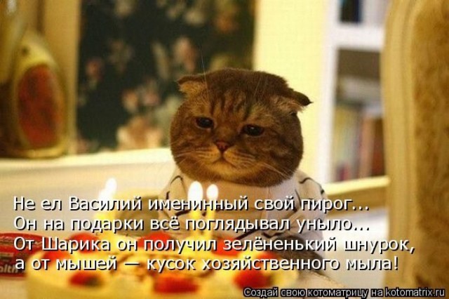 Смешные картинки с животными