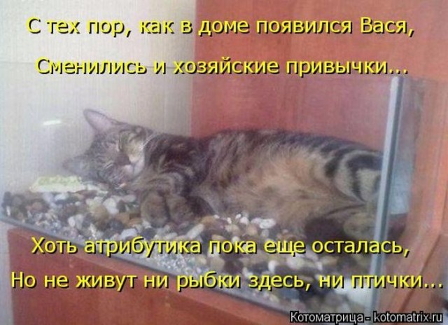 Смешные картинки с животными