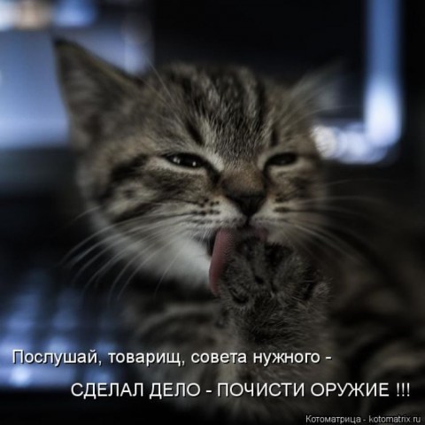 Смешные картинки с животными