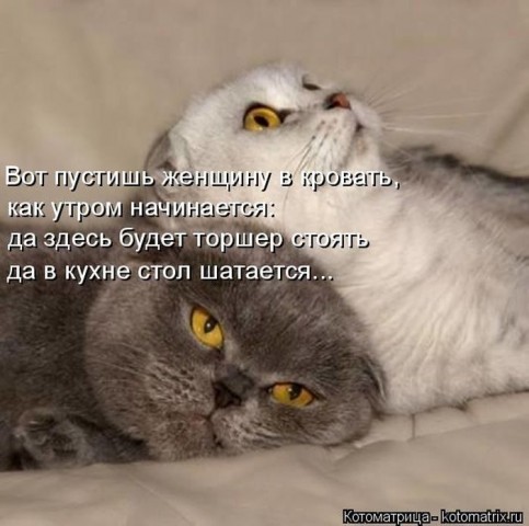Смешные картинки с животными