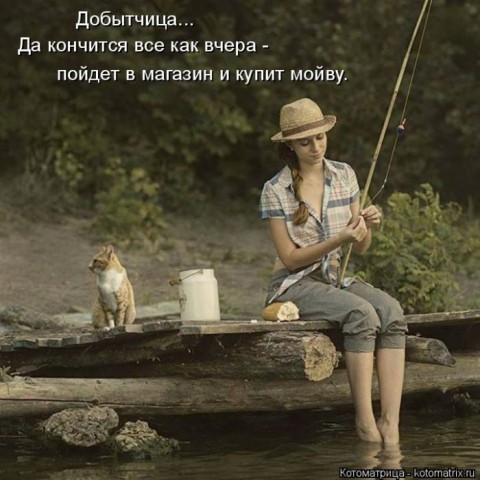 Смешные картинки с животными