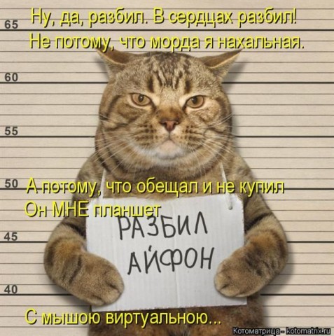 Смешные картинки с животными