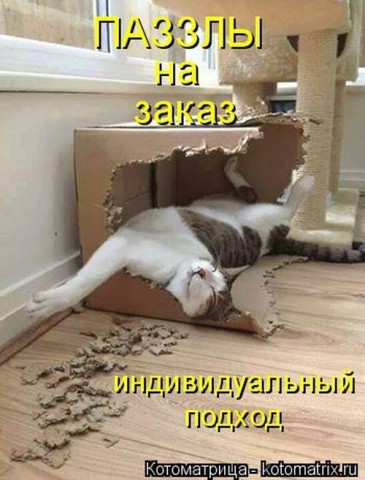 Смешные картинки с животными