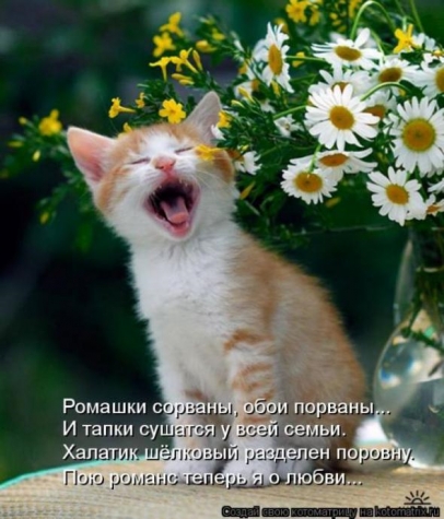 Очередная порция юмора