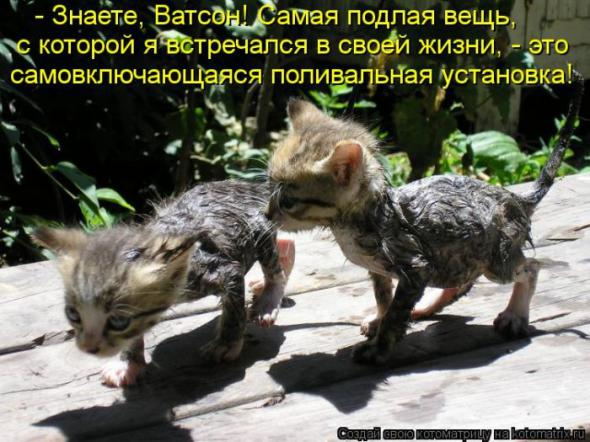 Очередная порция юмора