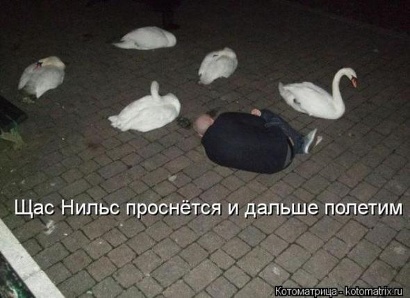 Очередная порция юмора