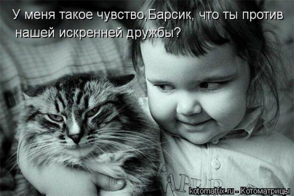 Очередная порция юмора