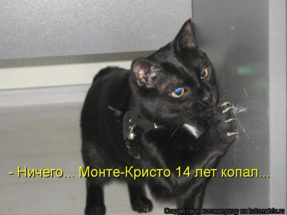 Очередная порция юмора