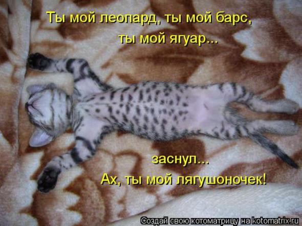 Очередная порция юмора