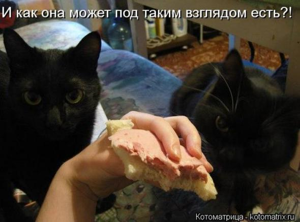 Очередная порция юмора