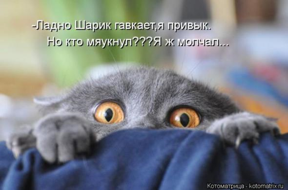 Очередная порция юмора