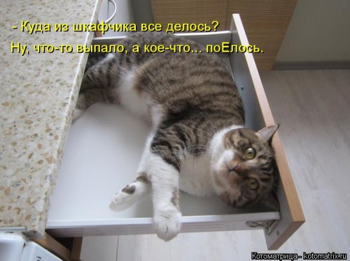 Котоматрица