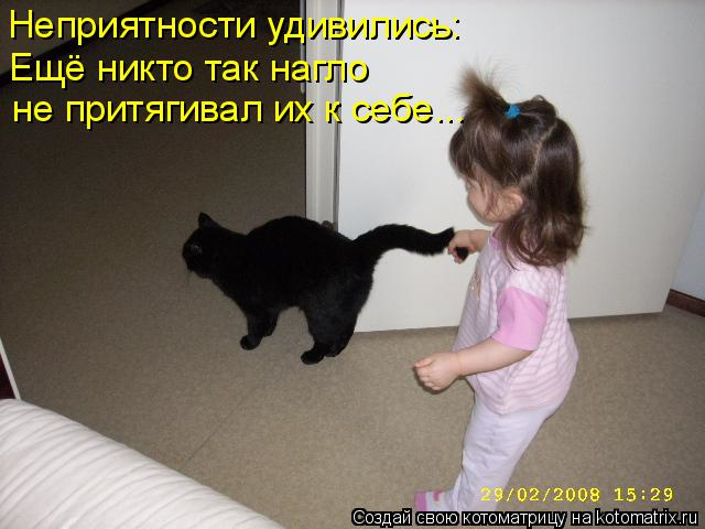 Юмор+котоматрица